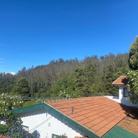 The Tamarillo Bed and Breakfast Ooty Exteriör bild