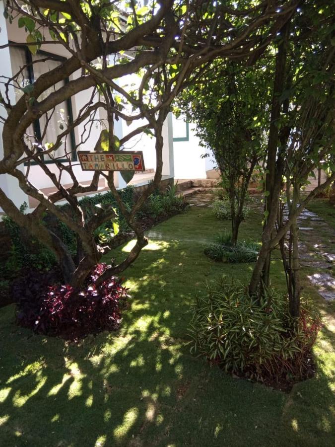 The Tamarillo Bed and Breakfast Ooty Exteriör bild