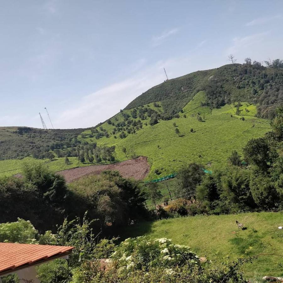 The Tamarillo Bed and Breakfast Ooty Exteriör bild
