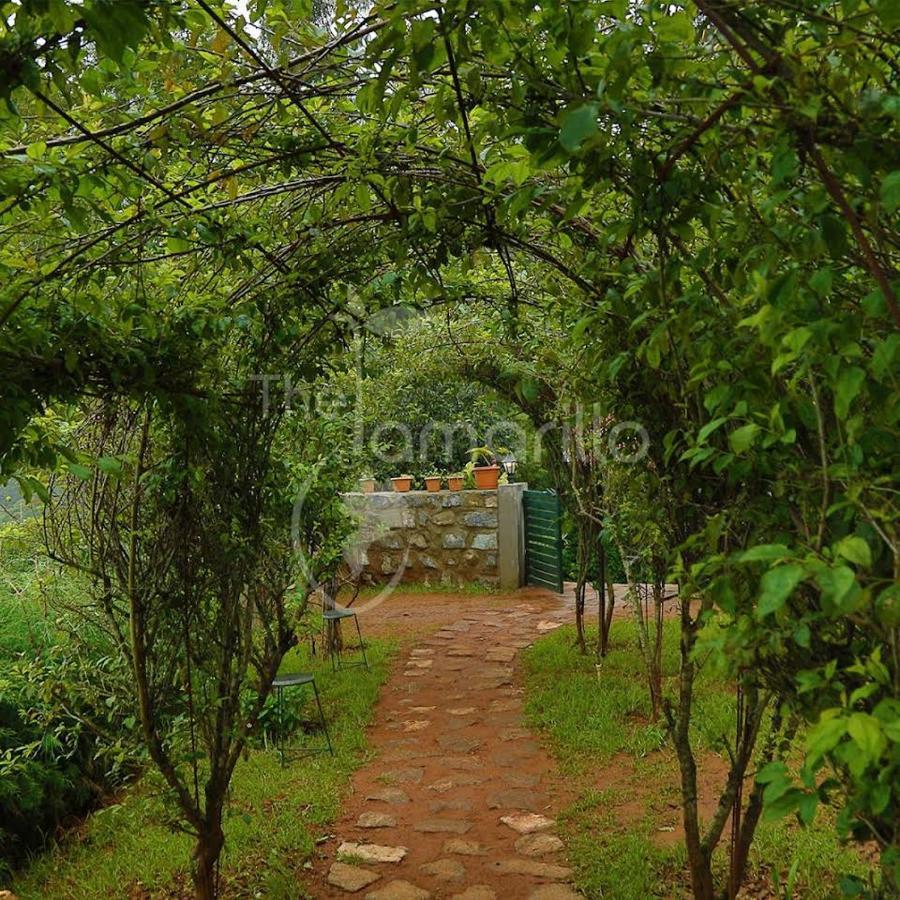 The Tamarillo Bed and Breakfast Ooty Exteriör bild