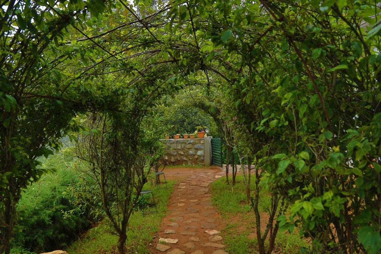 The Tamarillo Bed and Breakfast Ooty Exteriör bild