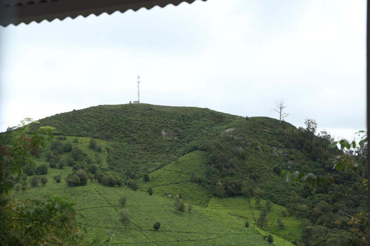 The Tamarillo Bed and Breakfast Ooty Exteriör bild